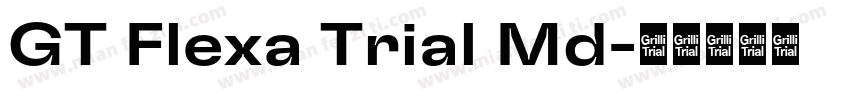 GT Flexa Trial Md字体转换